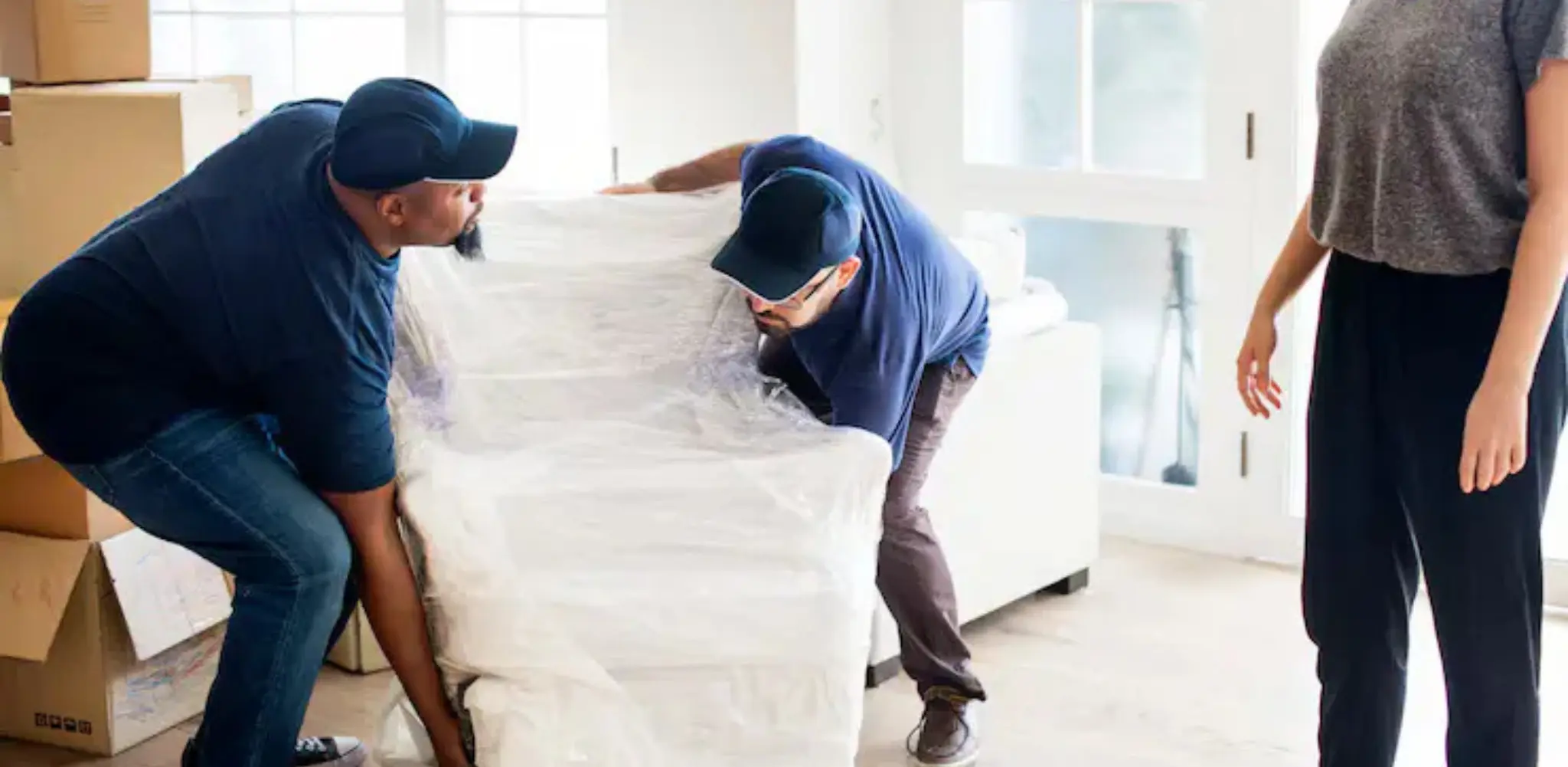 Dust and Pest Free Moving