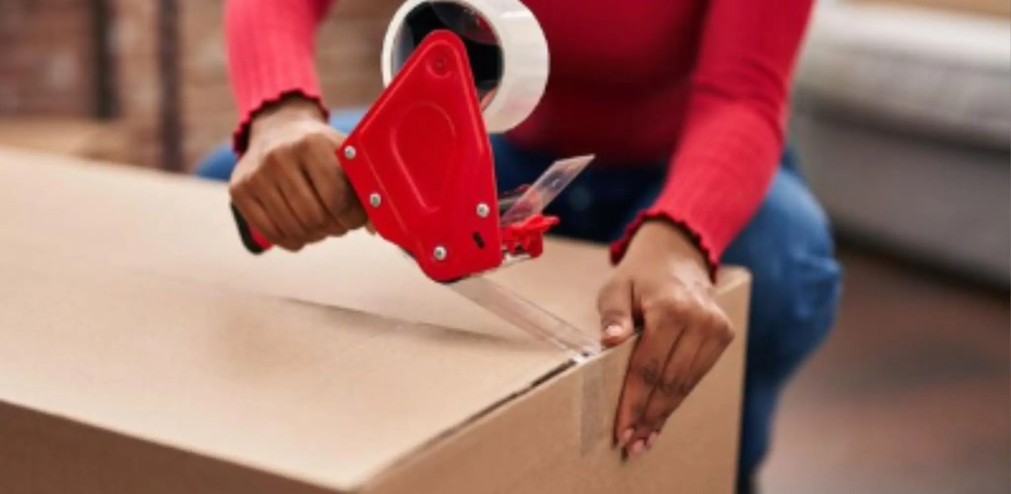 Professional Packing Services